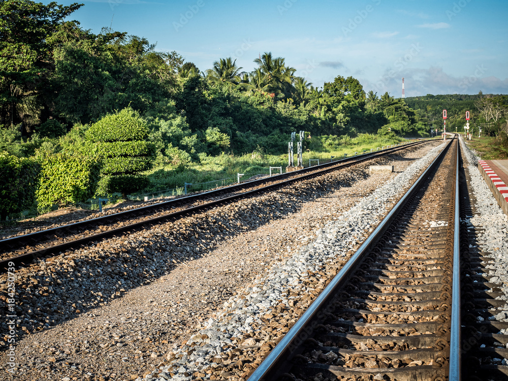 Obraz premium railway with nature view