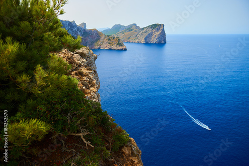 View from the top of a cliff with pines to the sea