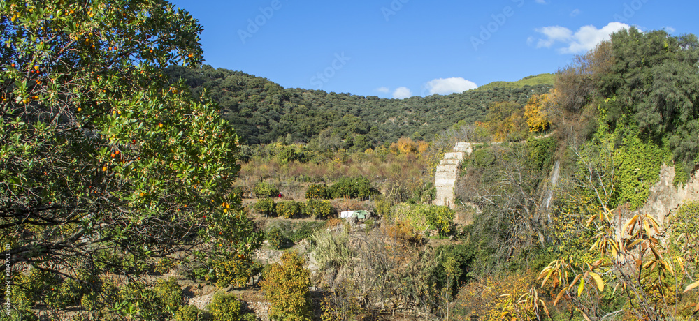 Landscape in the surroundings of Fajarán. Genal Valley. Malaga