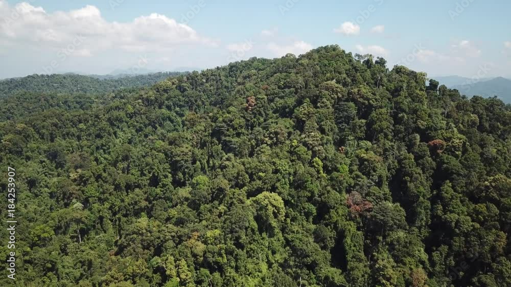 Rainforest mountain landscape from aerial drone Rainforest mountain landscape from aerial drone