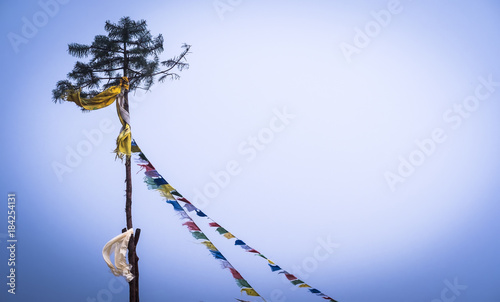Buddhist Tibetan colourful prayer flags tied to high pine tree and blowing in the wind, Annapurna track, Himalayas.