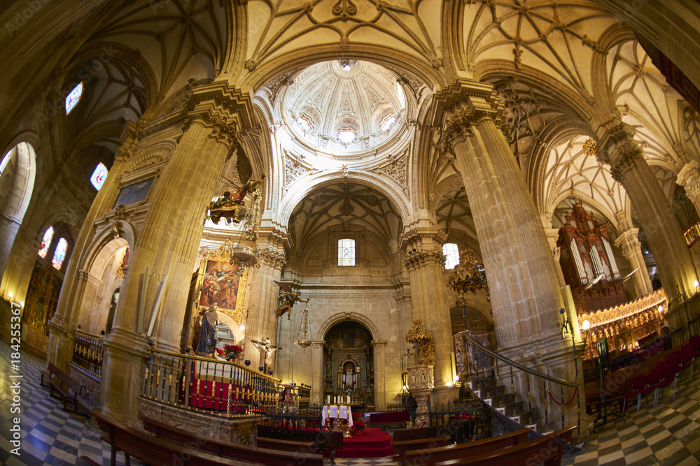 Inside of the Cathedral of Guadix province of Granada, Granada, Andalusia, Spain, Europe
