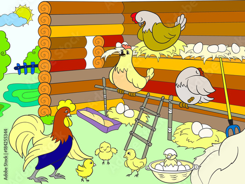 Chicken coop. Interior and life of birds in the chicken coop for children cartoon vector illustration