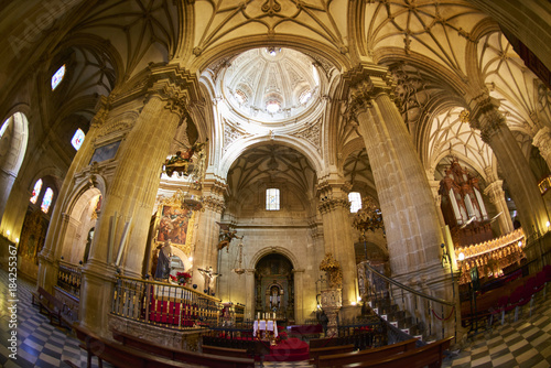Inside of the Cathedral of Guadix province of Granada, Granada, Andalusia, Spain, Europe © Juanma