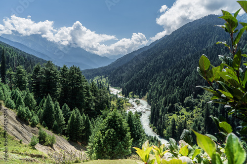 Around the Himalayas. Jammu and Kashmir. North India. 