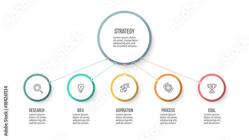 Business infographic. Organization chart with 5 options. Vector template.