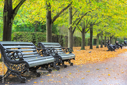 Benches in Regent's Park of London