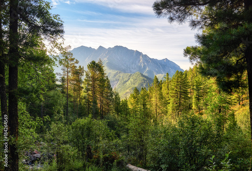 Primordial dark coniferous taiga in mountains