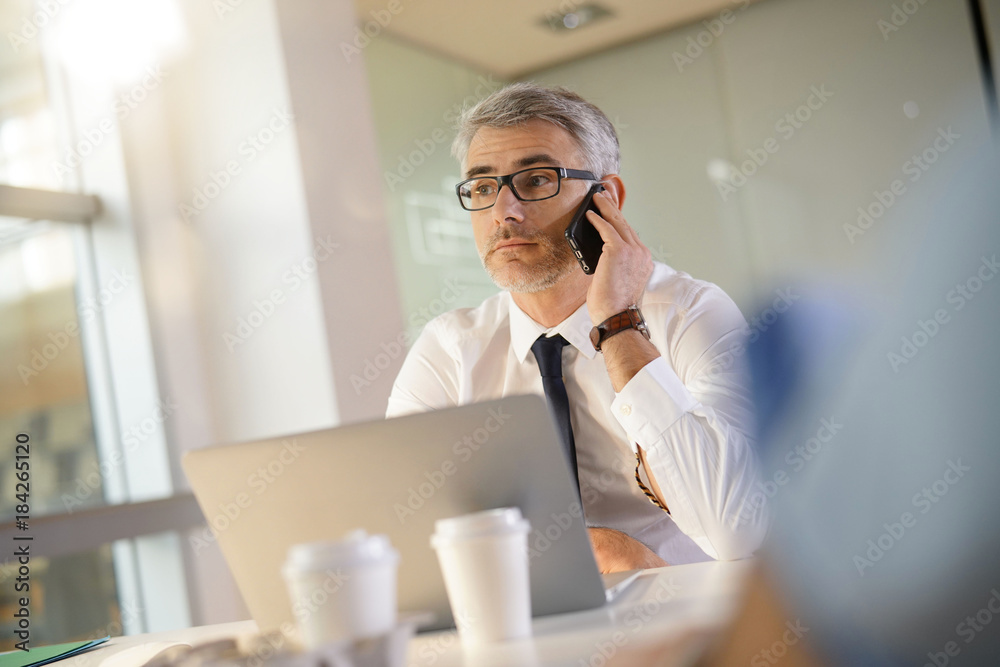 Mature businessman in office talking on phone Mature businessman in office talking on phone
