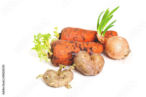 Sprouted vegetables on white background