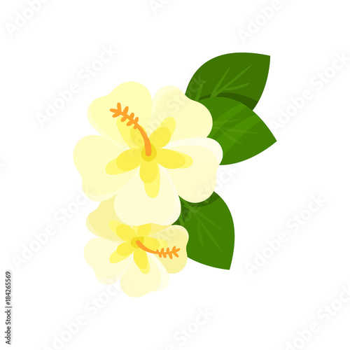 Frangipani tropical flower cartoon vector Illustration