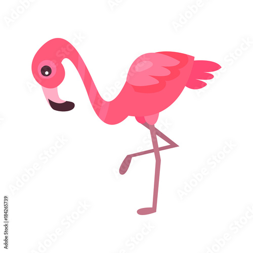 Lovely flamingo, exotic bird summer time cartoon vector Illustration