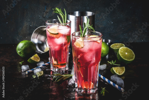 Refreshment alcoholic red cranberry and lime cocktail with rosemary and ice, two glass, dark background copy space
