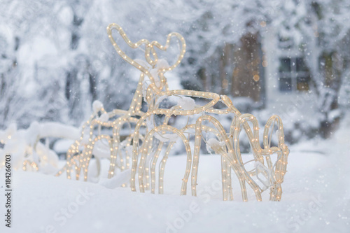 Reindeer Sleigh in the Snow © Marwin