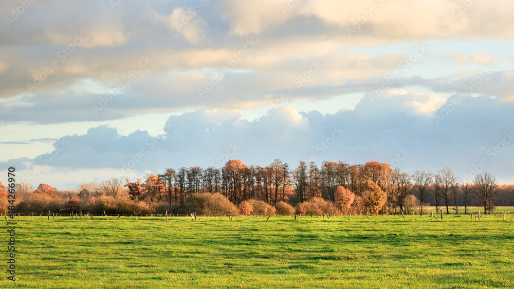 Rural landscape with trees in autumn colors, Turnhout, Belgium