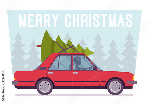 Merry Christmas Tree on car top