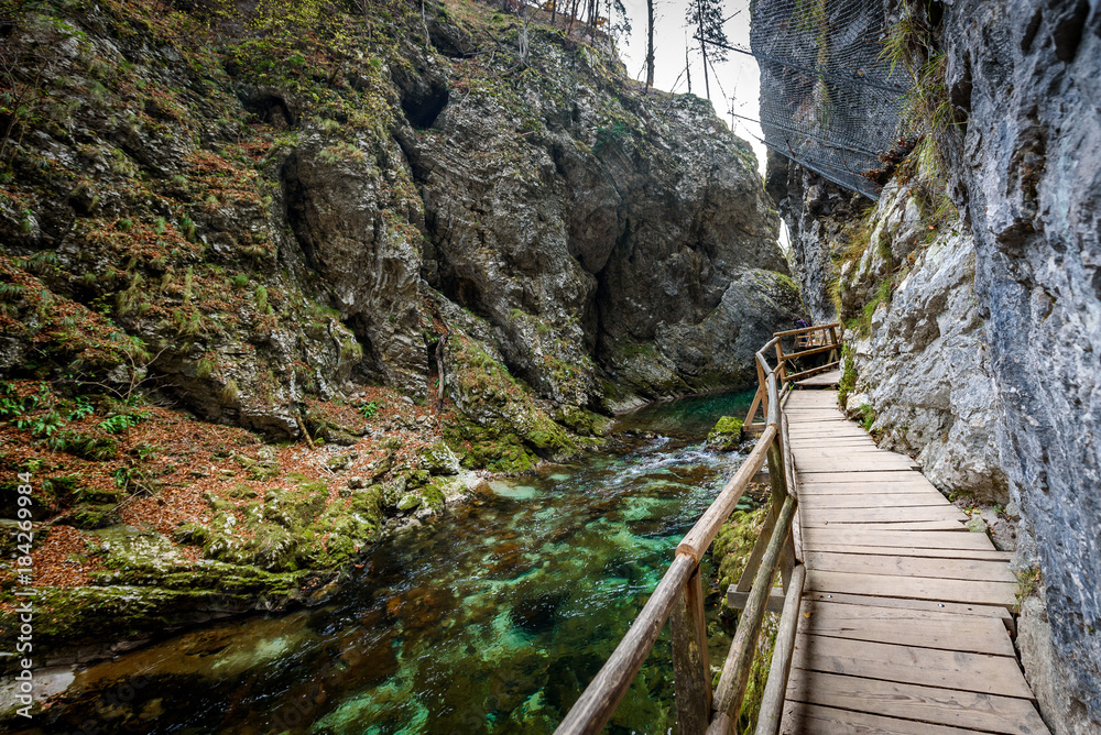 Fototapeta premium Soteska Vintgar, The Vintgar Gorge or Bled Gorge in Slovenia.