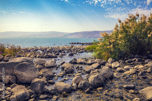 Obraz na płótnie The coast of the Sea of Galilee near Ein Eyov Waterfall in Tabgha, Israel