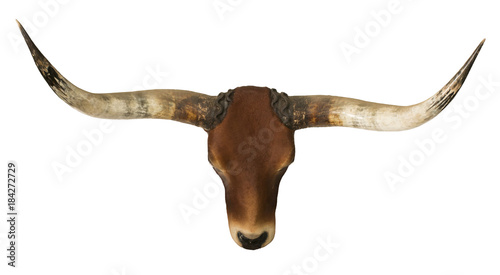 Εκτύπωση καμβά red bull head and horn isolated white background