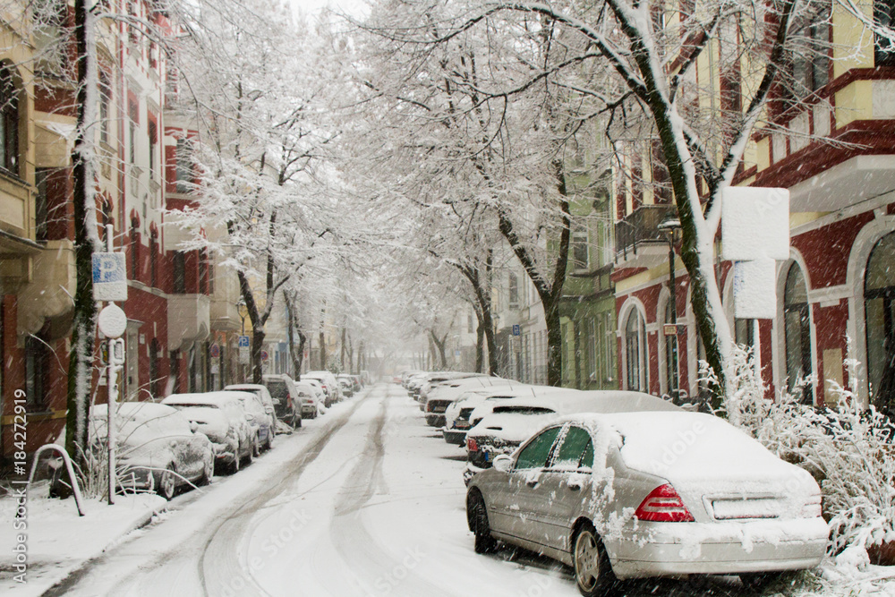Snow covered cars and trees in a small street in the winter of december