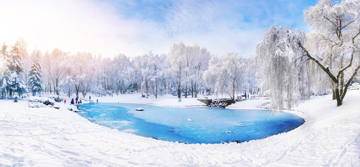 Frozen ice lake in winter in a park in the forest in sunny weather a panoramic view with a blue sky and white clouds. Wallpaper beautiful fairy winter nature at a pink dawn.