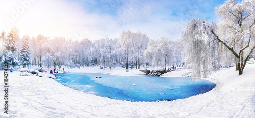 Frozen ice lake in winter in a park in the forest in sunny weather a panoramic view with a blue sky and white clouds. Wallpaper beautiful fairy winter nature at a pink dawn.