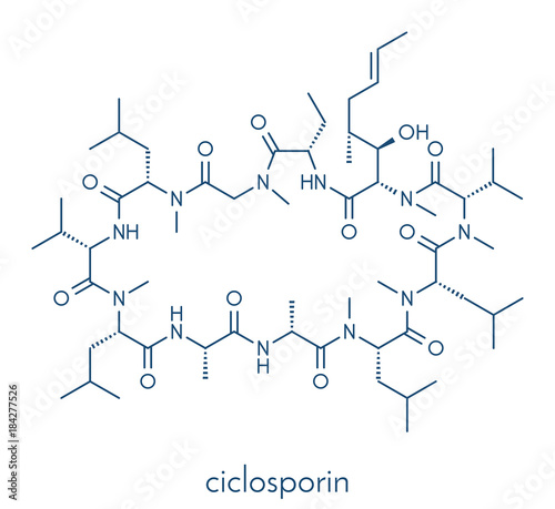 Ciclosporin (cyclosporine) immunosuppressant drug molecule. Used to prevent rejection of transplanted organs and for a number of other uses. Skeletal formula.