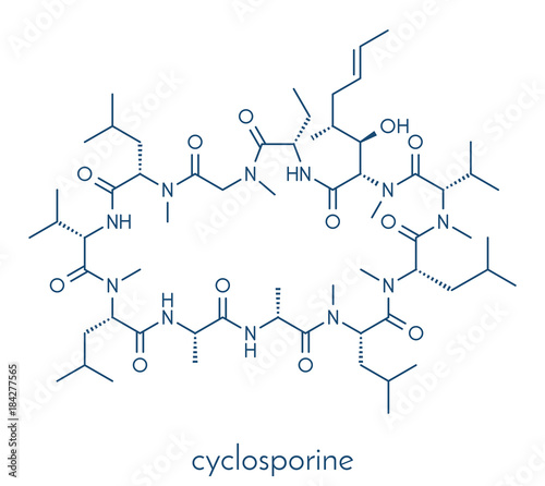 Ciclosporin (cyclosporine) immunosuppressant drug molecule. Used to prevent rejection of transplanted organs and for a number of other uses. Skeletal formula.