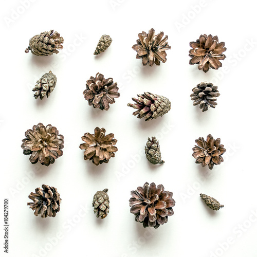 Composition of forest cones on a white background. Christmas or eco background. Top view