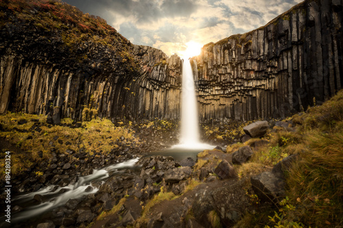 Fototapeta Naklejka Na Ścianę i Meble -  Svartifoss Wasserfall in Island im Herbst
