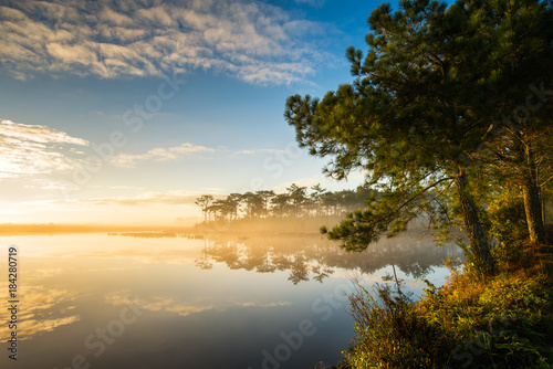 Fog rises over Marsh Lake at sunrise in Pine forest © songdech17