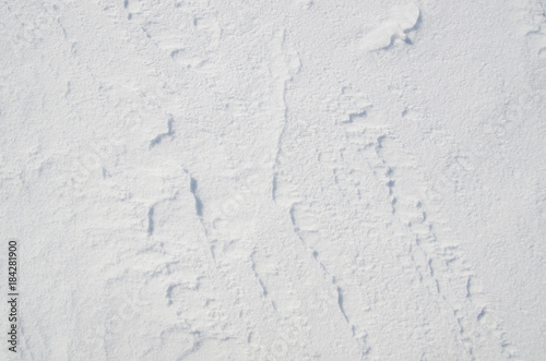 white snow texture