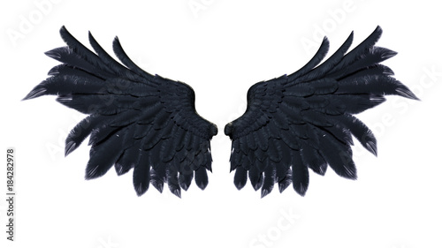 3d Illustration Demon Wings, Black Wing Plumage Isolated on White Background