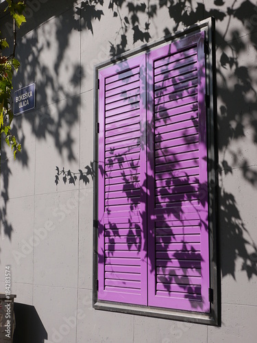 Purple shutters over a window in Podgorica with shadows of leaves on the wall