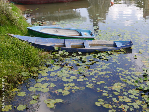 Two blue rowing boats moored in a lake with water lilies