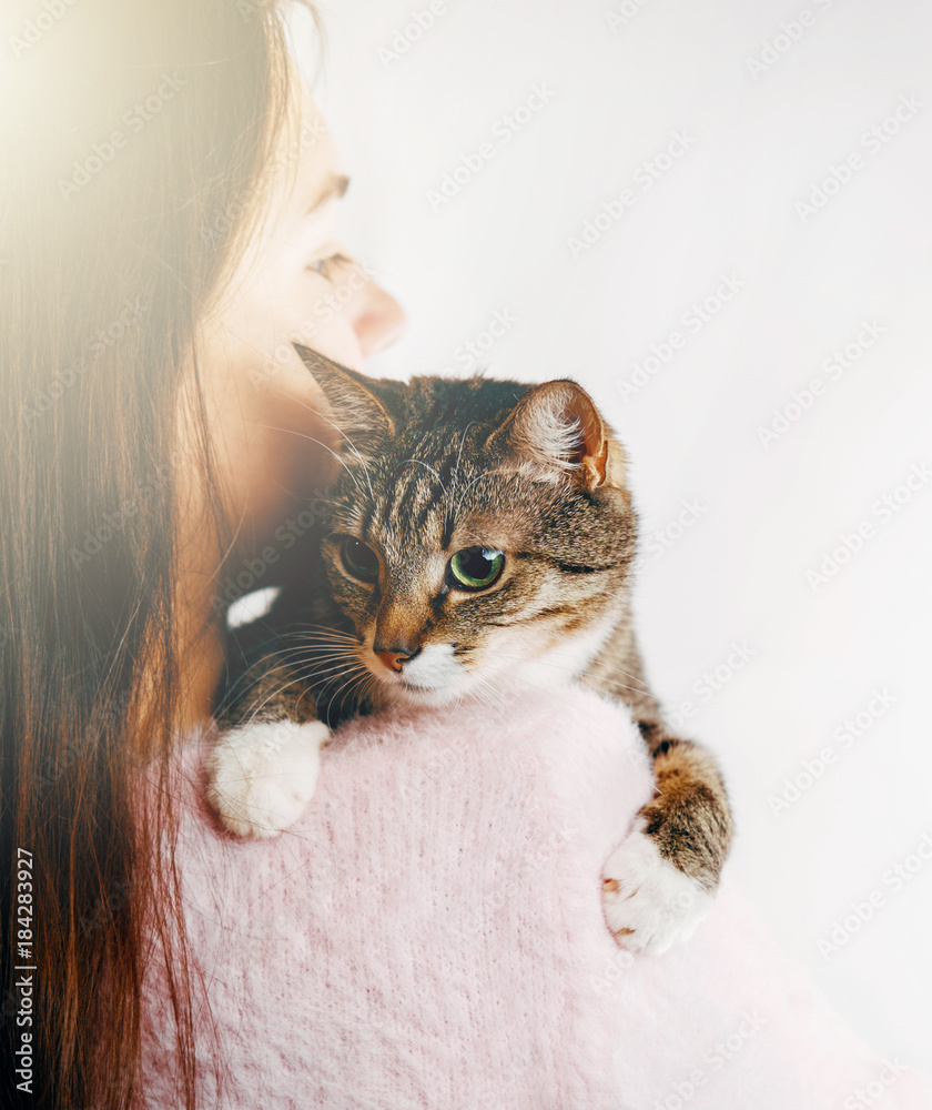 beautiful girl hugs a cat, girl holding a beautiful cat, gentle ...