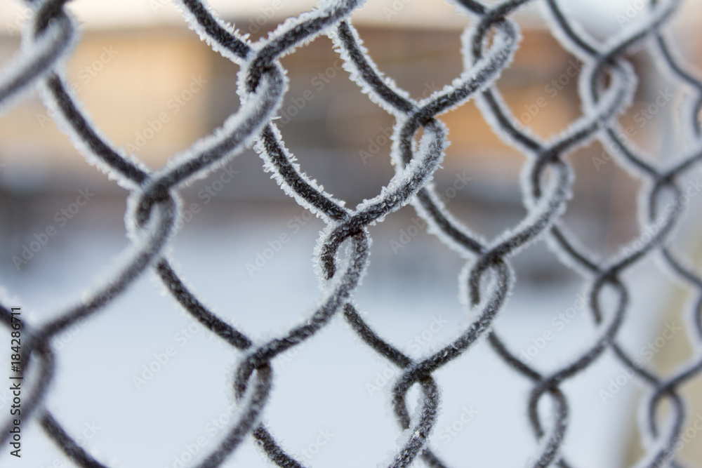fence of metal mesh covered with frost fence of metal mesh covered with frost