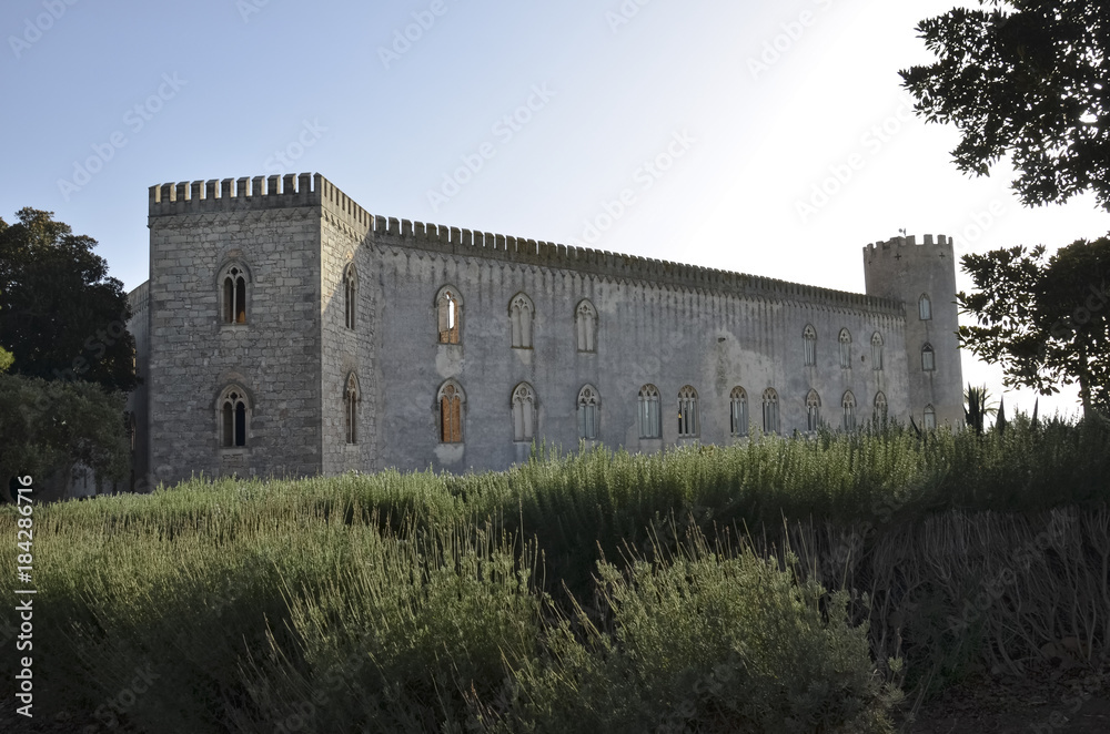 The lavender of Donnafugata castle