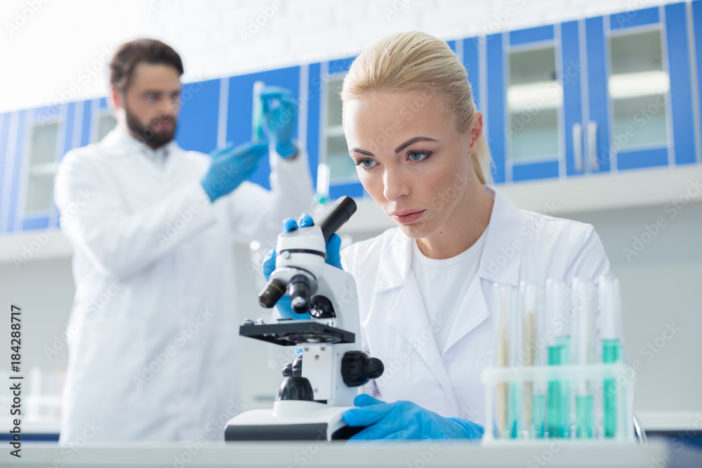Serious female biologist looking into the microscope Serious female biologist looking into the microscope