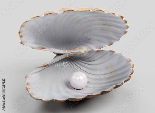 Realistic 3D Render of Clam