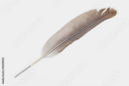 realistic 3d render of quill pen