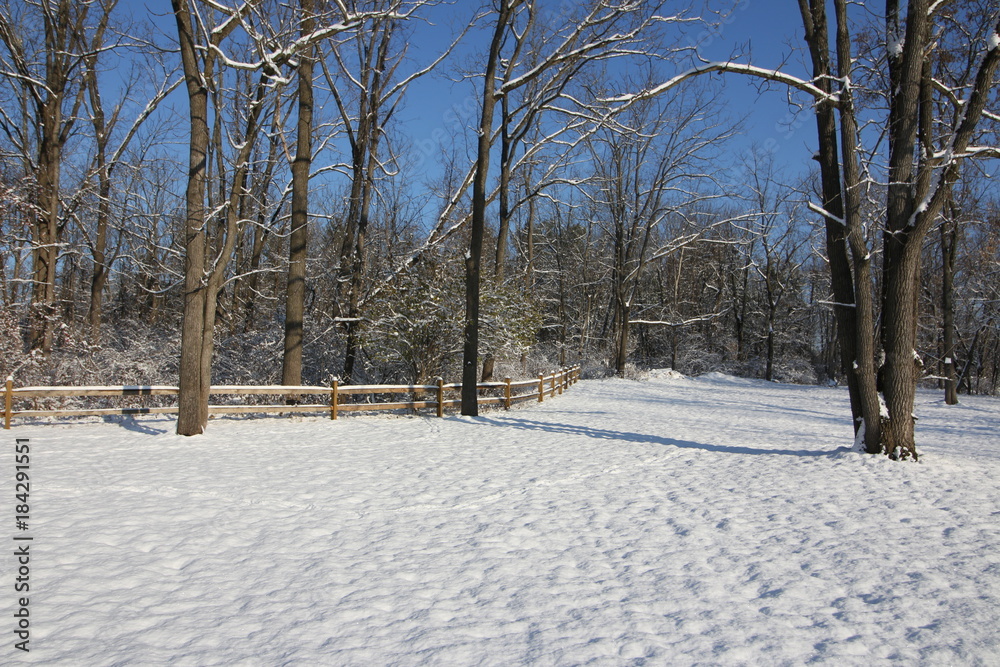 Fototapeta premium Winter has arrived. The winter landscapes with snow and the bright sunshine.