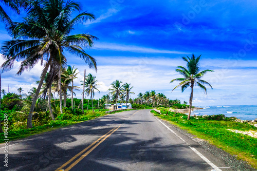 Palm trees in one side of a road in San Andres, Colombia in a beautiful beach background