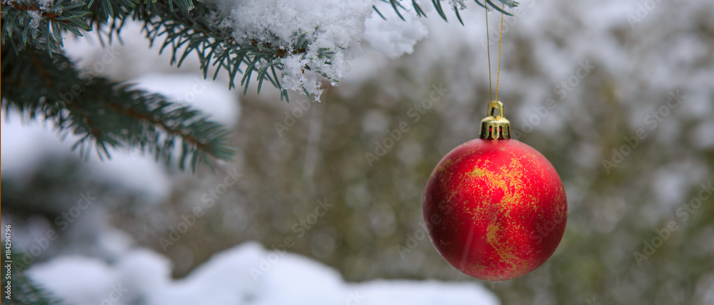 Red Christmas Ball hanging on a Fir Tree Branch. Christmas Background. Red Christmas Ball hanging on a Fir Tree Branch. Christmas Background.