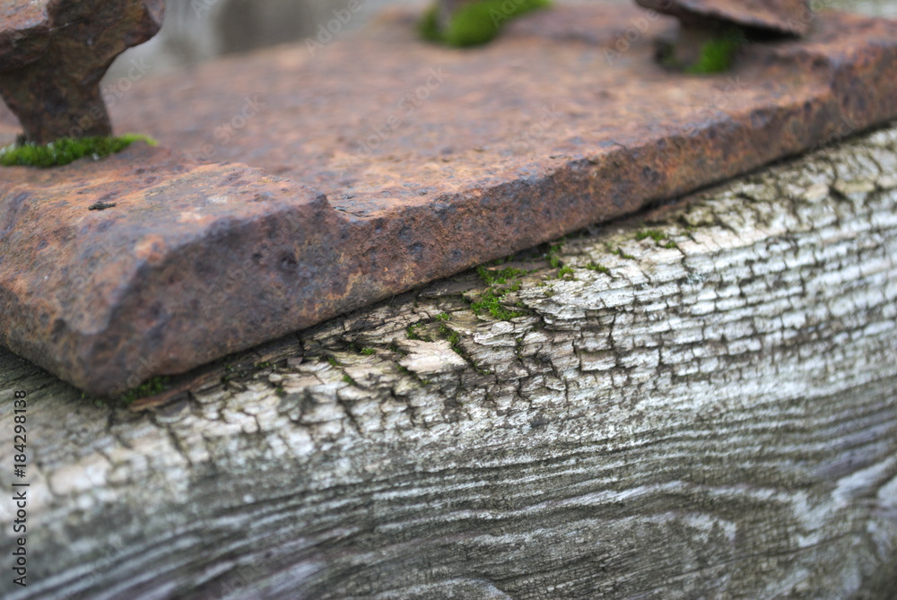 Obraz premium drewno