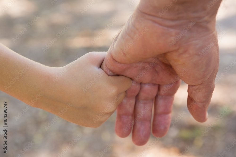 Grandfather holding his granddaughter hand in the forest Grandfather holding his granddaughter hand in the forest