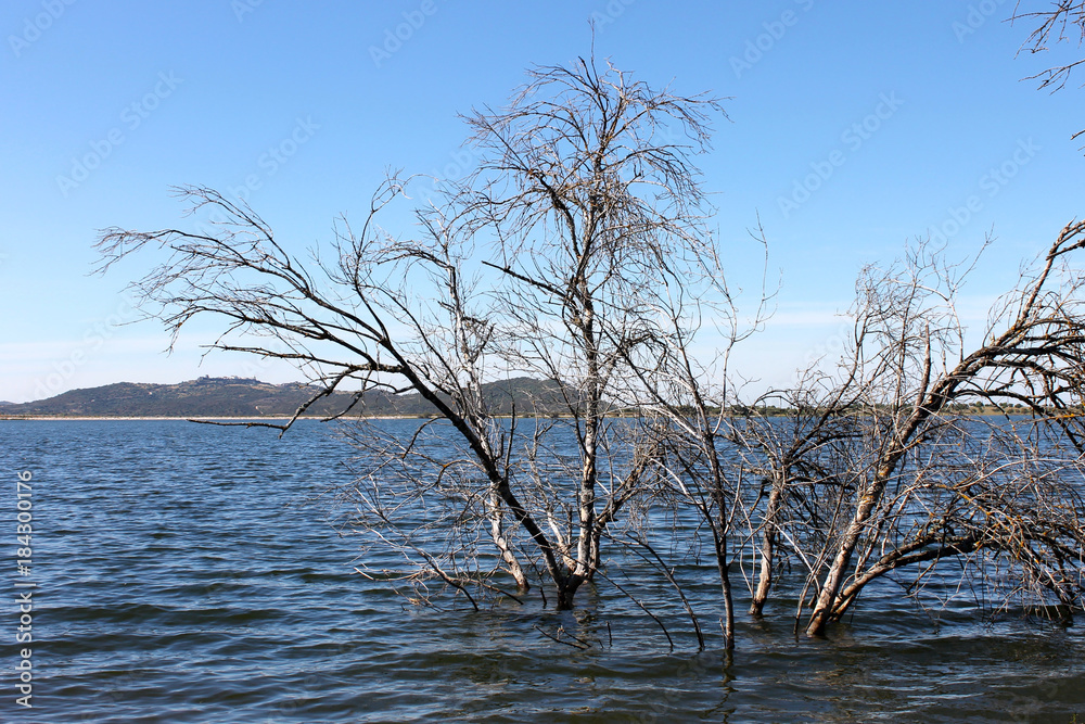 Views of the Alqueva reservoir in Portugal, created where the Alqueva Dam impounds the Guadiana River Views of the Alqueva reservoir in Portugal, created where the Alqueva Dam impounds the Guadiana River