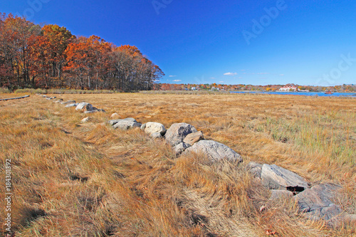 Salt marsh showing sea level rise with old farm walls now in salt marsh