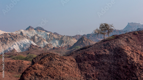 Colored desert mountains with tree on the top photo