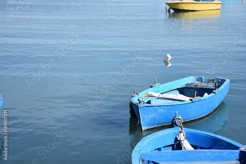 Italia, typical octopus fishing boat. © benny